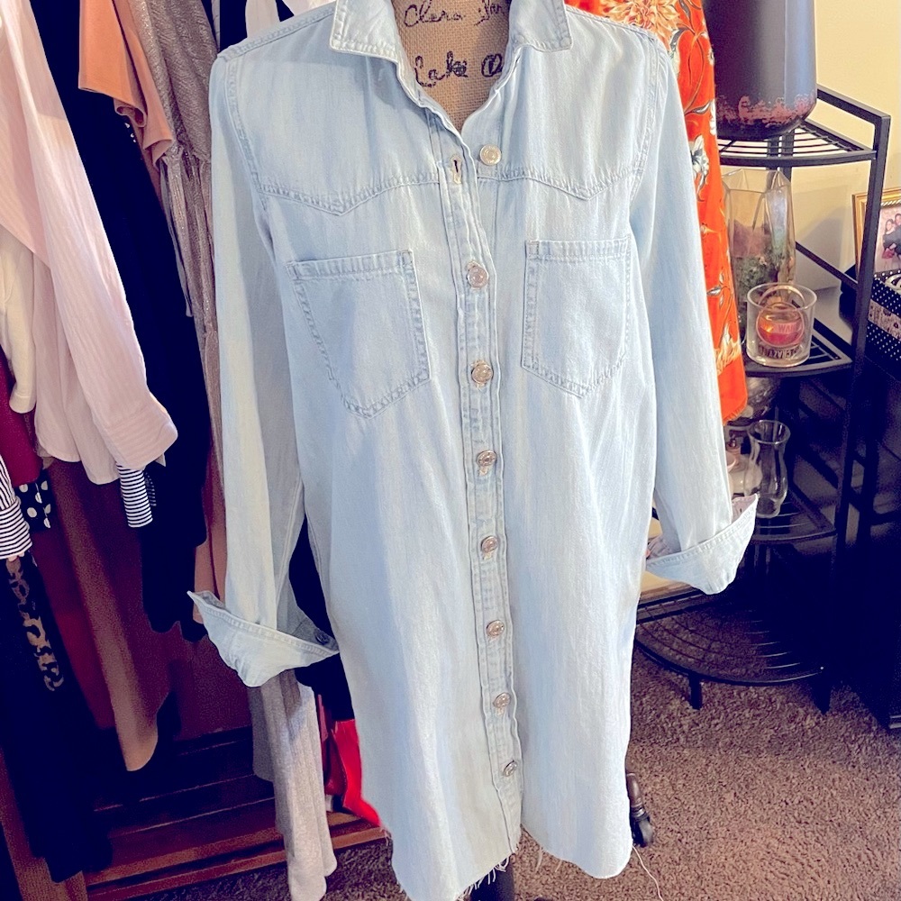 Zara Mini Denim Dress